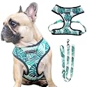 HDKUW Dog Harness and Leash Set, Adjustable Dog Vest Harness Set, Outdoor Walking Vest Harness for French Bulldog and Puppy Small Medium Large Dog XL