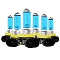 Headlight Bulbs Fit For Nissan Maxima 2016-2018, H11 H11 H11 High Low Beam Fog Lights 300% Ultra Brighter Halogen Headlight Bulb Combo, 6500k White Light, Pack of 6
