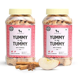 yummy in my tummy by huft apple amp cinnamon dog biscuits  320 gm pack of 2  vegetarian crunchy treats for puppies amp adult dogs  made with real ingredients  healthy snack for all breeds dogs