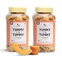 Yummy in My Tummy by HUFT Pumpkin &amp; Carrot Dog Biscuits – 320 gm (Pack of 2) | Vegetarian Crunchy Treats for Dogs | Healthy Training Snack | Easy to Digest | Suitable for All Breeds Dogs