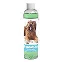 Healthy Breeds Dog Dental Care Water Additive for Briard - Helps Freshen Breath, Reduce Plaque &amp; Control Tartar - Mint Flavor - 8 oz
