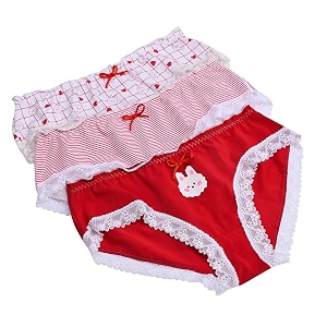heartbury Womens 100 Cotton Lace Panty Mid