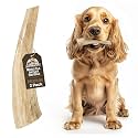 Heartland Antlers Elk Antler Dog Chew, Medium 5 in, 25-45 lb Dogs, 2 Pack