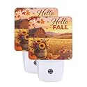 Hello Fall Night Light Dusk-to-Dawn Set of 2