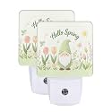 Hello Spring Night Light Dusk-to-Dawn Set of 2