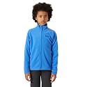 Helly Hansen Kids Fleece Jacket (Big Kid)