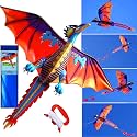 HENGDA KITE-Upgrade Classical Dragon Kite Stereoscopic Dragon Kites for Kids &amp; Adults Easy to Fly for Beginner Easter 63inch Single Line with Tail