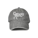 Hepandy Embroidered Baseball Caps for Boys Girls