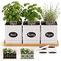 Herb Planter Indoor, 3-pc Herb Pots w/ Drainage Holes, Bamboo Tray & Labels