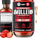 HERBIFY Mullein Drops - Lung Cleanse - Leaf Extract - Powerful Mullein for Immune Support, Detox & Respiratory Support - Made in USA - 4 Oz Strawberry Flavor