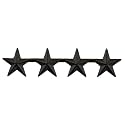 Hero's Pride 4 Star Rank Insignia, Five-Pointed Star Pin, 2 Posts and Clutch Backs, Pack of 2