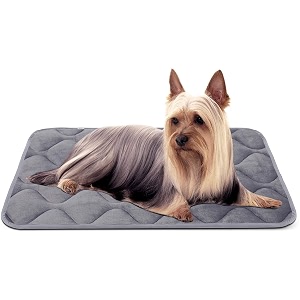 Hero Dog Dog Bed 27.5IN Small Soft