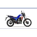 Hero MotoCorp XPULSE 210 DSSS OBD2B MotorcyclesBike
