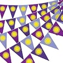 HESTYA 5 Pcs Tangled Birthday Party Banner Purple Sun Pennant, 49 Ft