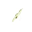 DL360 G5 Smart Array P400i Refurbished, 412206-001 (Refurbished SAS Controller)