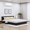 Hexa Red Without Storage Engineered Wood Queen Bed, 209.1 cm x 160 cm (6.86 ft x 5.25 ft)