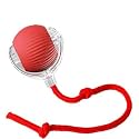 Hexigo Interactive Cat Ball Toy, Automatic 2-Speed Rechargeable with Tail, for Indoor Cats, Red
