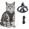 HEYWEAN Cat Harness and Leash - Ultra Light Escape Proof Kitten Collar Cat Walking Jacket with Running Cushioning Soft and Comfortable Suitable for Puppies Rabbits
