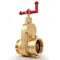 Hicarer 2-1/2" Fire Hydrant Gate Valve, 230 PSI Brass Hydrant Valve with NST/NH Female x Male Thread Connection