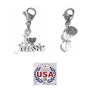 Hidden Hollow Beads Clip On Charm for Purse, Handbag, Keychain, Zipper Pull, Backpack, Jewelry Accessory, USA