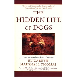 the hidden life of dogs