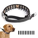 Hidden Prong Collar, Adjustable Martingale Design, L, Black
