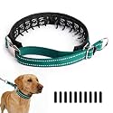 Hidden Prong Collar, Adjustable Martingale Design, L, Ocean Teal