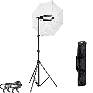 hiffin porta kit 1000w light with 9 feet light stands and umbrella lights for video amp still photography ss2 bag free for porta kit porta light kit mark i