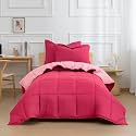 HIG 2pc Down Alternative Comforter Set - All Season Reversible Comforter with Sham - Quilted Duvet Insert with Corner Tabs -Box Stitched ââ‚¬â€œ Hypoallergenic, Soft, Fluffy(Twin/Twin XL, Pink)