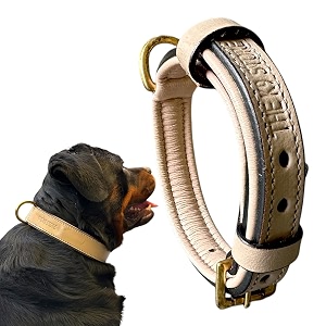 High Graded Premium Leather Dog Collar- Dog