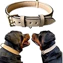 High Graded Premium Leather Dog Collar- Dog