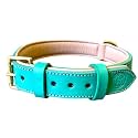 High Graded Premium Leather Dog Collar- Dog