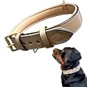High Graded Premium Leather Dog Collar- Dog