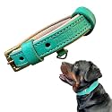 High Graded Premium Leather Dog Collar- Dog
