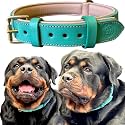 High Graded Premium Leather Dog Collar- Dog