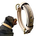 High Graded Premium Leather Dog Collar- Dog