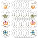 Highergo 48 Pcs Fall Pumpkin Gender Reveal Decoration Pins Team Boy or Girl