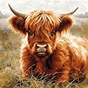 Highland Cow in Grass 11CT Cross Stitch Kits for Beginners Color Printed Stamped Cross-Stitch Supplies Needlework Printed Embroidery Kits DIY Kits Needlepoint Starter Kits 50x50cm(X69)