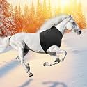 Hilltown Long Horse Slinky Hood with Zipper