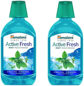 himalaya mint mouth wash - mint 1 ml
