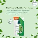 Himalaya Pure Hands Purifying Tulsi Hand Wash Pump 250 ml (Pack of 2)
