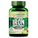 Himalayan Organics Plant Based Iron with Folate Veg Capsules, Natural, 120 count &amp; Himalayan Organics Ginkgo Biloba for Healthy Brain Functions | 500Mg | 60 Veg Capsules