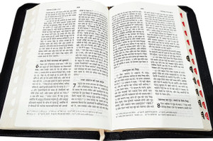 Hindi Bible Compact Index Zip Vinyl TI