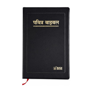 Hindi Bible Old And New Testament Pavitra