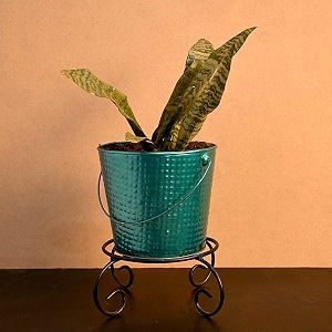 hins aqua metal bucket shape flower plant pot black with stand hand plant bucket for garden and house decoration flower bucket for indoor decor amp table decor for office decoration for living room decor pot for gardening flower plant pot for indoor decor pot for gardening flower plant pot for indoor decor pot i metal designer bucket with stand