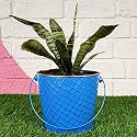 HINS Blue Metal Bucket Round Shape Flower &amp; Plant Pot with Stand (SkyBlue, Large) Metal Pots for Indoor Plants I Elevated Garden Planter I Raised Planter I Desk Plant I Raised Planter Box I Ascent