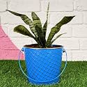 HINS Blue Metal Bucket Round Shape Flower Plant Pot Metal Pots For Indoor Plants I Elevated Garden Planter I Raised Planter I Desk Plant I Raised Planter Box I Ascent Homes Metal Planter I Raised Planter Box With Legs I Brass