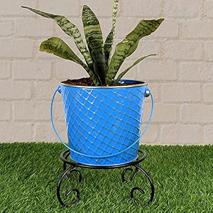 hins blue metal bucket shape flower plant pot black with stand hand plant bucket for garden and house decoration flower bucket for indoor decor amp table decor for office decoration for living room decor pot for gardening flower plant pot for indoor decor pot for gardening flower plant pot for indoor decor pot i metal designer bucket with stand