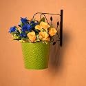 HINS Green Metal Bucket Round Shape Flower Plant Pot With Stand Hanging Basket For Indoor Plants I Elevated Garden Planter I Raised Planter I Desk Plant I Raised Planter Box I Ascent Homes Metal Planter I Raised Planter Box W