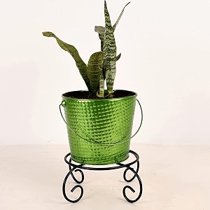 hins green metal bucket shape flower plant pot black with stand hand plant bucket for garden and house decoration flower bucket for indoor decor amp table decor for office decoration for living room decor pot for gardening flower plant pot for indoor decor pot for gardening flower plant pot for indoor decor pot i metal designer bucket with stand